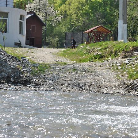 Pension Belmonte Sîmbăta de Sus Eksteriør bilde